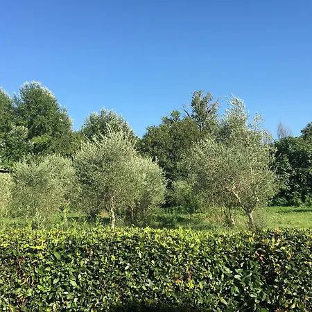 Hotel La Casa Di Ugo By Relais Centrostorico